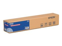 Epson Premium Glossy Photo Paper (170) - Blank - Rulle (41,9 cm x 30,5 cm) 1 rulle (rullar) fotopapper - för SureColor P5000, SC-P5000, P7500, P9500, T2100, T3100, T3400, T3405, T5100, T5400, T5405 C13S042076