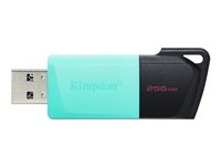 Kingston DataTraveler Exodia M - USB flash-enhet - 256 GB - USB 3.2 Gen 1 DTXM/256GB