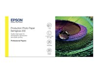 Epson Production - Polyetylen (PE) - halvblank - mikroporös - 200 mikrometer - Rulle (111,8 cm x 30 m) - 200 g/m² - 1 rulle (rullar) fotopapper - för Stylus Pro 9890; SureColor P10000, P20000, SC-P10000, P20000, P8000, P9000, P9500, T7200 C13S450378