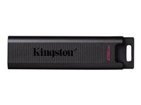 Kingston DataTraveler Max - USB flash-enhet - 256 GB - USB-C 3.2 Gen 2 DTMAX/256GB