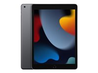 Apple 10.2-inch iPad Wi-Fi - 9:e generation - surfplatta - 256 GB - 10.2" IPS (2160 x 1620) - rymdgrå MK2N3KN/A
