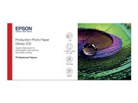 Epson Production - Polyetylen (PE) - blank - mikroporös - 200 mikrometer - Rulle (111,8 cm x 30 m) - 200 g/m² - 1 rulle (rullar) fotopapper - för Stylus Pro 9890; SureColor P10000, P20000, SC-P10000, P20000, P8000, P9000, P9500, T7200 C13S450373