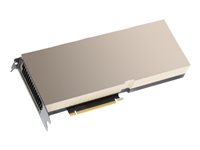 NVIDIA H100 - GPU-beräkningsprocessor - NVIDIA H100 Tensor Core - 80 GB HBM3 - PCI Express 5.0 - fläktlös - för ProLiant XL645d Gen10 Plus, XL675d Gen10 Plus R9S41A