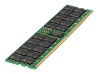 HPE SmartMemory - DDR5 - modul - 64 GB - DIMM 288-pin - 4800 MHz / PC5-38400 - CL40 - 1.1 V - registrerad - ECC P43331-B21