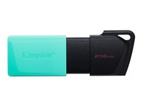 Kingston DataTraveler Exodia M - USB flash-enhet - 256 GB - USB 3.2 Gen 1 DTXM/256GB