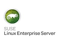 SuSE Linux Enterprise Server - Abonnemangslicens (1 år) + 1 års support 24x7 - 1-2 kontakter/virtuella maskiner - elektronisk N7F54AAE