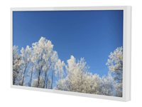 HI-ND Wall Casing EASY 43" Landscape - Monteringssats (hölje) - för LCD-display - polykarbonat, puderbelagd metall - vit, RAL 9003 - skärmstorlek: 43" - väggmonterbar - för detaljhandelskunder - för LG 43UH5F-H; Samsung QB43B, QB43R-B, QH43R, QM43B WC4300-0101-01