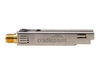 Cradlepoint MC20BT - Nätverksadapter - Bluetooth 5.1 LE - för Cradlepoint E300, E3000; E300 Series Enterprise Router E300-5GB BF-MC20-BT
