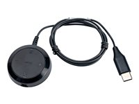 Jabra Evolve 30 II MS stereo - Headset - på örat - kabelansluten - 3,5 mm kontakt, USB-C - Certifierad för Skype for Buisness 5399-823-389