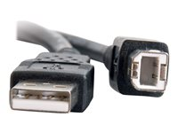 C2G 9.8ft USB A to USB B Cable - USB A to B Cable - USB 2.0 - Black - M/M - USB-kabel - USB (hane) till USB typ B (hane) - USB 2.0 - 3 m - svart 28103