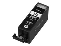 Canon PGI-525PGBK - 19 ml - svart - original - bläcktank - för PIXMA iP4950, iX6550, MG5350, MG6150, MG6250, MG8150, MG8250, MX715, MX885, MX892, MX895 4529B001